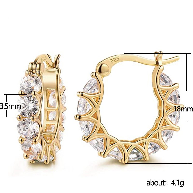 Nargis Jewellery Earrings Full Zircon Rhine stones