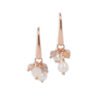 Cherie Petite Earrings - Rose Gold and Silver